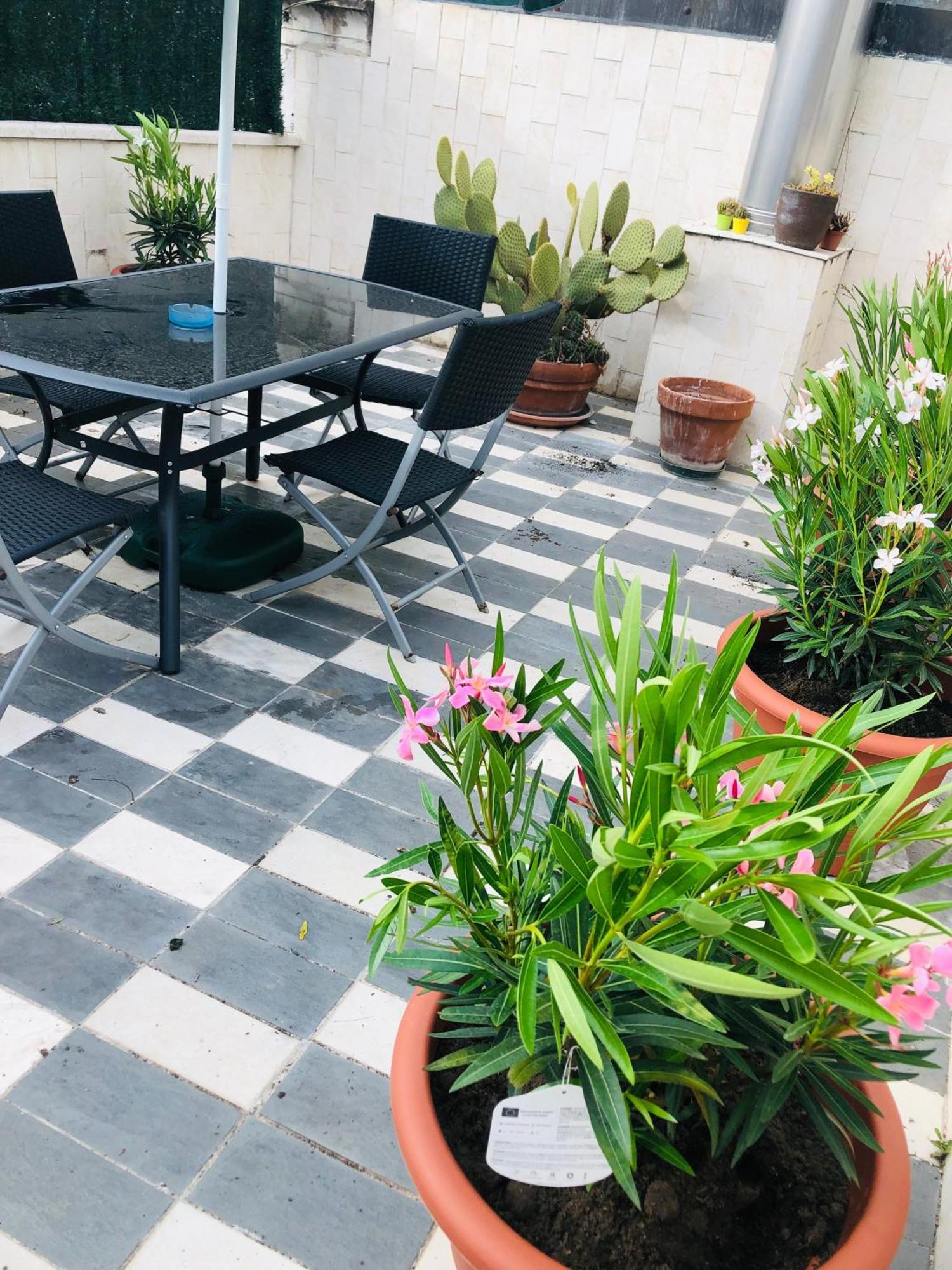 La Terrazza Di Aida Appartement Verona Buitenkant foto