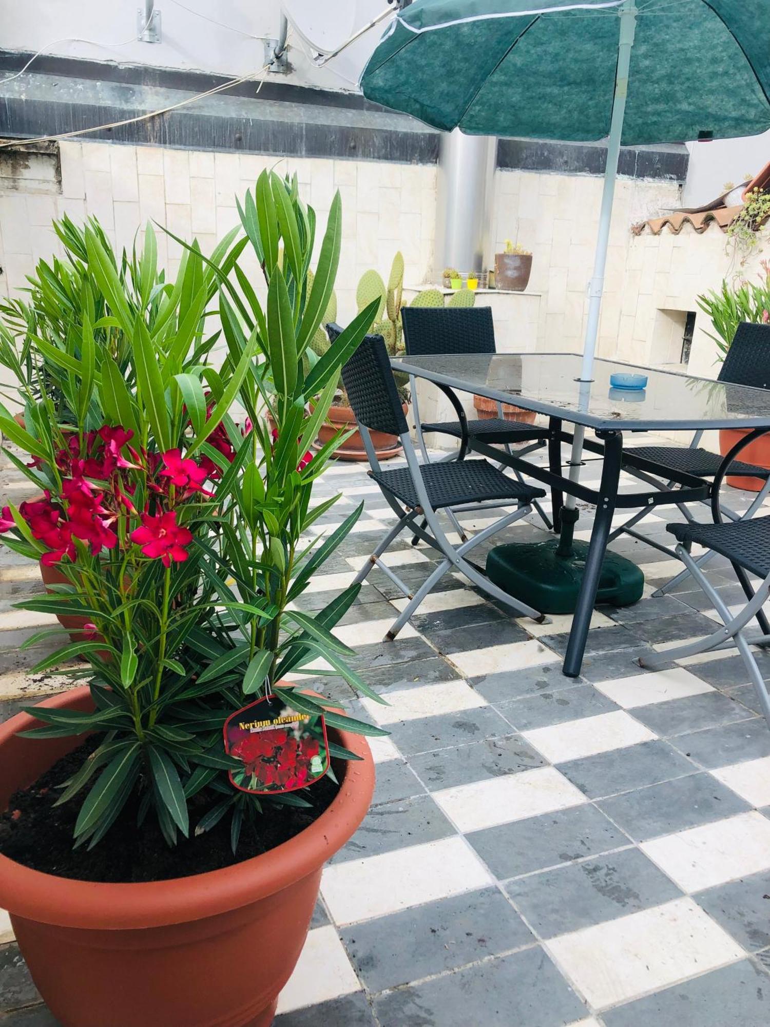 La Terrazza Di Aida Appartement Verona Buitenkant foto